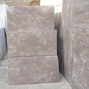 Azulejo de mármol Pakistán Travera en tamaños personalizados, azulejos de mármol Tavera de tamaño personalizado, azulejos de mármol Pakistán Travera - Product Image 6