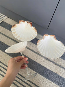 Vidrio de concha para decoración del hogar Estilo de concha exquisito para elegancia Perfecto para uso de exportación y venta al por menor - Product Image 3