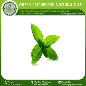 น้ำมันหอมระเหยสะระแหน่แท้100% จากผู้ผลิตอินเดียในอียิปต์ - Product Image 3