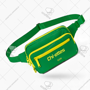 Riñonera de Primera Calidad Chi Eta Phi, Elegante Bolso de Cintura Bordado para Mujer, Listo para Enviar, Bolso de Viaje - Product Image 1
