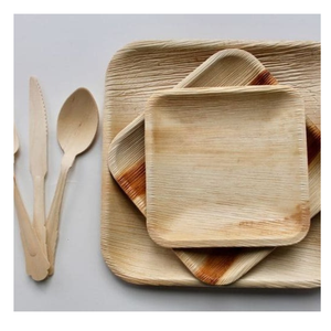 Assiettes en feuille de palmier compostables Forme ronde Assiette en areca 100% naturelle pour une utilisation quotidienne ou événementielle - Product Image 5