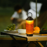 Lampe LED portable OEM ODM 200Lm avec port de charge USB-C et trou fileté 1/4 pouce pour le camping, la randonnée et les situations d'urgence