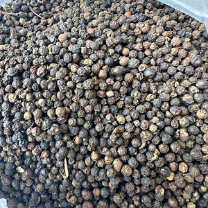Poivre noir du Vietnam de haute qualité de fabrication prêt pour l'exportation en vrac toutes qualités épices simples et herbes/ANNA DO VILACONIC - Product Image 2