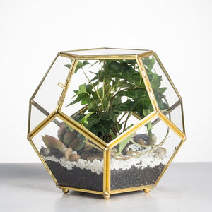 Dernier design moderne nouvelle conception noir enduit géométrique jardin mousse Air plantes décoration terrarium maison bureau restaurants - Product Image 6