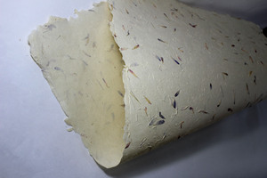 Lokta แผ่นกระดาษใย100% สำหรับสวนกลีบดอกไม้สี80 GSM ทำด้วยมือไม้ฟรี - Product Image 4