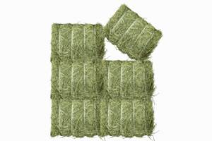 Alimento para animales Alfalfa/Timoteo/Alfalfa Heno en venta - Product Image 3