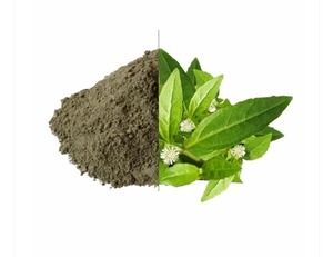 Extracto de Bhringraj en Polvo, Suplemento Herbal Natural para el Crecimiento del Cabello, Salud del Cuero Cabelludo, Fortalecimiento del Cabello, Tratamiento Capilar, Apoyo Inmunológico - Product Image 3