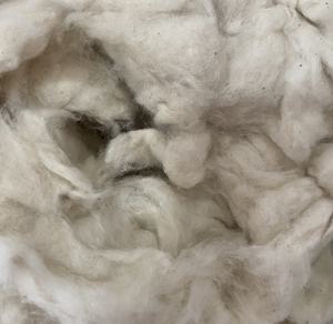 100 Comber Noil Spinning Mill Carte de déchets de fibres de coton brut blanc Livraison rapide depuis le Vietnam-par Mme Min - Product Image 6