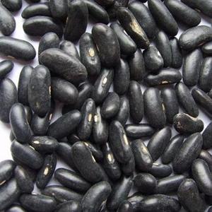 Haricots noirs séchés biologiques emballés en vrac à bas prix de gros - Product Image 5