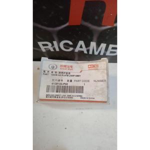 Luz de Matrícula para GREAT WALL MOTOR Wingle Serie 5 (10>21) 4108100-P00 - Product Image 3