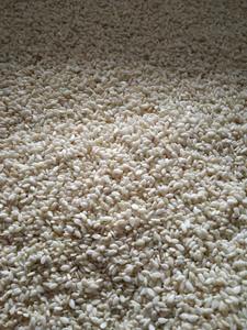 ผู้ส่งออกงาขาวปอกเปลือกจากอินเดีย สำหรับเกรดอาหาร ใช้ในงานครัวและเพื่อสุขภาพ มีจำหน่าย - Product Image 2