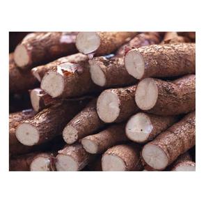 Légumes de manioc frais 100% naturels et biologiques 20cm 25kg Portugal au meilleur prix de gros - Product Image 6