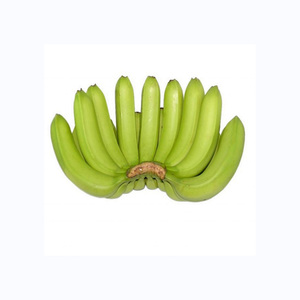 Banane cavendish verte fraîche de haute qualité meilleur fruit populaire meilleur 100% banane verte de haute qualité banane Cavendish fraîche pas cher p - Product Image 5