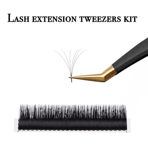 Pince à cils avec logo personnalisé Fournitures de beauté Marque privée Pince à épiler Extension de cils Pince à épiler pour cosmétiques - Product Image 3