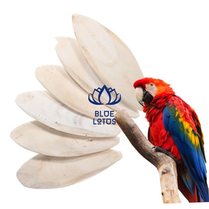 Os de seiche premium pour les soins et la vente en gros - Product Image 1