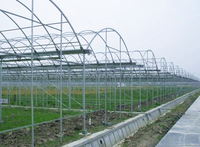 Serre à film multi-travées agricole Système de refroidissement hydroponique complet Nft Système de chauffage