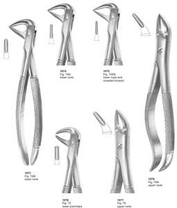 Fórceps dentales manuales de Venta caliente para odontología fórceps dentales para adultos y niños instrumentos de extracción quirúrgica base - Product Image 2