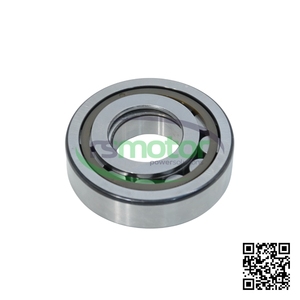 Rodamiento de Rodillos Cilíndricos de Acero Nuevo para Piezas de Motor de Camión JENBACHER RS-100423 - Product Image 2