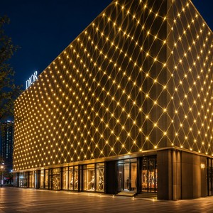 Guirnalda de Luces LED para Exteriores, Impermeable IP65, Decoración Navideña para Jardín, 2mx2m, 192 LED - Product Image 4