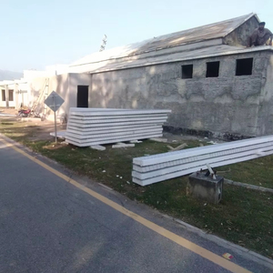 Vida Ecológica: Paneles Aislantes para una Construcción Rápida - Product Image 2