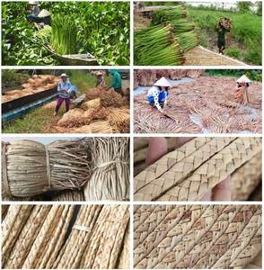 Tapis de jacinthe d'eau OEM ODM-tapis tissé Vintage-tapis de jacinthe d'eau pour chambre à coucher, cuisine, salon - Product Image 3