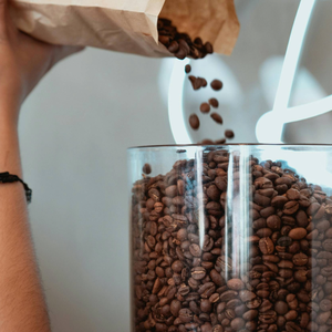 Mélange de café Robusta de spécialité torréfié au miel pour une saveur riche et audacieuse Origine Vietnam - Product Image 2