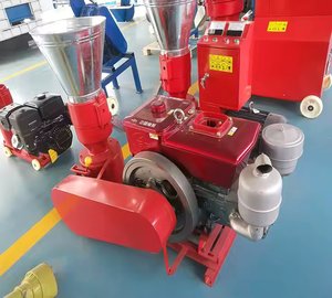 100-120 KG/H Molino de pellets de madera diésel 15HP Prensador de aserrín Combustible Biomasa Pellets Maquinaria de producción Venta caliente en Canadá - Product Image 4