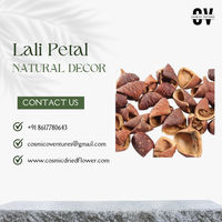 Potpourri Kelopak Bunga Lali Kualitas Premium, Rangkaian Bunga Kering Modern Elegan, Warna Sesuai Pesanan untuk Pernikahan, Halloween, Dalam/Luar Ruangan