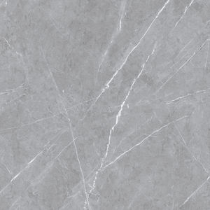 การออกแบบที่กําหนดเองด้วยสีสันสดใส กระเบื้องปูพื้นพอร์ซเลนที่จอดรถ ผลิตในอินเดียสําหรับผนังและพื้น - Product Image 4