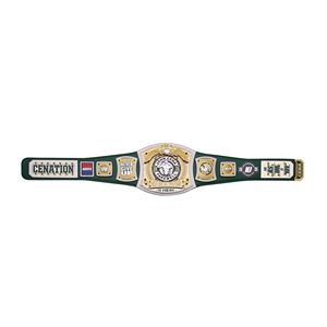Nouvelle ceinture en or personnalisée Championnat de boxe Ceinture en or WWE World Heavyweight Championship Gold Belt Ronpex - Product Image 6