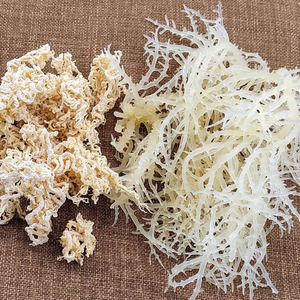 CARTíLAGO DE OREJA DE CERDO SECO | ALTA CALIDAD PARA ALIMENTACIÓN DE MASCOTAS Y ALIMENTACIÓN ANIMAL - Product Image 5