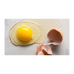 सफेद आपूर्तिकर्ता ताजा प्रोटीन के अमीर खेत चिकन अंडे गोल्डन अंडे की जर्दी उपलब्ध अब थोक आपूर्तिकर्ता ताजा गोल्डन अंडे की जर्दी