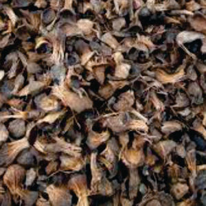 Carburant de qualité supérieure issu de la biomasse de Palm Kernel Shell (PKS) du Nigeria - Product Image 2