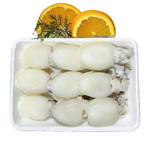 Seiche entière nettoyée surgelée, fruits de mer de qualité supérieure, IQF/BQF, emballage sous vide, Vietnam, 20-40 cm, durée de conservation de 24 mois - Product Image 1