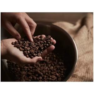 Vente en gros de café arabe biologique torréfié de nouvelle récolte, grains de café vert, exportation - Product Image 5