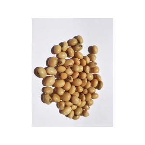 Soja orgánica sin OMG/soja Grado 1 amarillo secado estilo a granel al por mayor - Product Image 4
