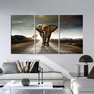 Impresión en vidrio templado de elefante solitario - Obra de arte impresa en lienzo plano, JUEGO DE 3 LIEZNAS - Product Image 1