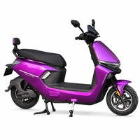 Moto de tourisme pour adultes 1000W 60V20Ah avec freins à disque avant et à tambour arrière, 45 km/h, violette