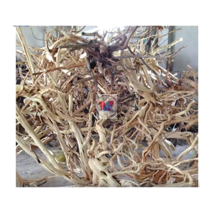 MADERA DE CORAL NATURAL TIPO DIVERSO DE VIET NAM A PRECIO ASEQUIBLE - Product Image 4