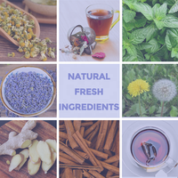Thé aux herbes naturelles de marque privée OEM, de haute qualité, pour un sommeil profond et relaxant, à la camomille et à la lavande