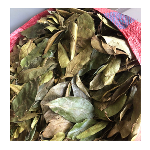 Dried Soursop Leaves Available In Large Quantity Vietnam Dried Soursop Leaves For Brewing - Product Image 4