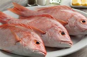 ปลากะพงแบบตาโตสีแดงสดแช่แข็งขายส่ง - Product Image 2