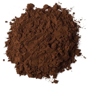 Poudre de chicorée | Qualité supérieure | Fournisseur en vrac biologique d'Inde - Product Image 1