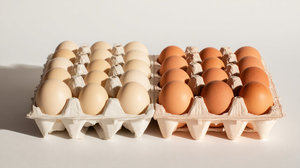 Fresh Brown Table <b>Eggs</b> /Chicken <b>Eggs</b>, Sell At Best Rate Farm Fresh Chicken Table Brown <b>Eggs</b> - Product Image 6