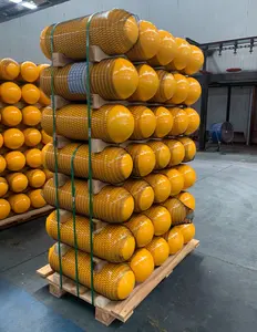 ISO11439 Standard CNG Cylinders For Car Outside Diameter 325mm 356mm 406mm Capacity 40-150Liter CNG Vehicle