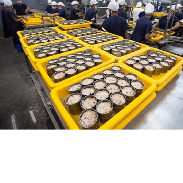 Оптовая продажа консервированного тунца в рассоле, кусок легкого мяса на экспорт без добавок | Ms Лилия
