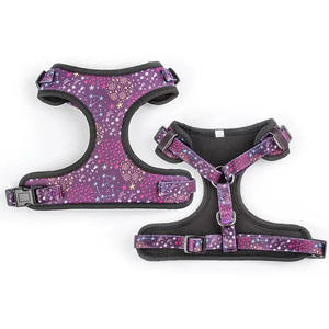 Harnais pour chien de conception personnalisée par sublimation sans traction harnais pour chat en maille souple en nylon rembourré imprimé logo fourni 2023 - Product Image 4