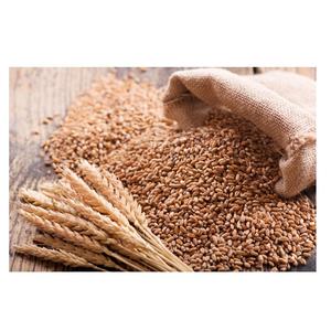 Meilleur prix pour les grains de blé entier biologiques, stock en vrac disponible avec emballage personnalisé - Product Image 1