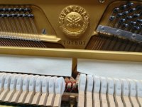Classic Yamahas U1E Upright Piano Japan Import Superior Craftsmanship High Quality Black Finish Smooth Performance
