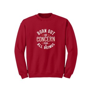 Sweat-shirt en coton mélangé Bouddha Thèmes Imprimer 12 options de couleur Style décontracté 260-280 GSM Placement de conception personnalisable pour l'hiver - Product Image 6
